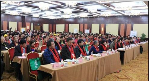南疆沃土工程大会