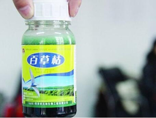 草甘膦和百草枯使用有什么区别?能混用吗?